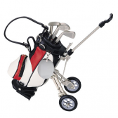 BOLSA DE GOLF